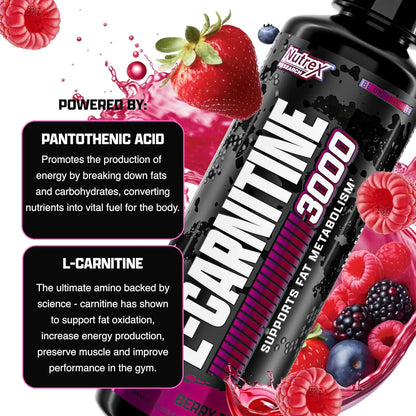 Nutrex Research L-Carnitine 3000 (31 Servings, Berry Blast) | Liquid Shots, Stimulant Free | Supports Muscle Recovery for Men and Women